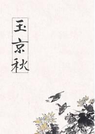 玉京秋颂南全文阅读最新章节